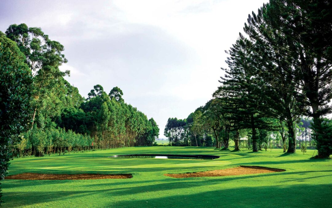 How to Be a Good Golfer vs. a Great Golfer